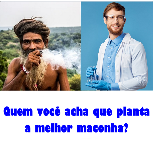 comuna420 no bluesky tweet media