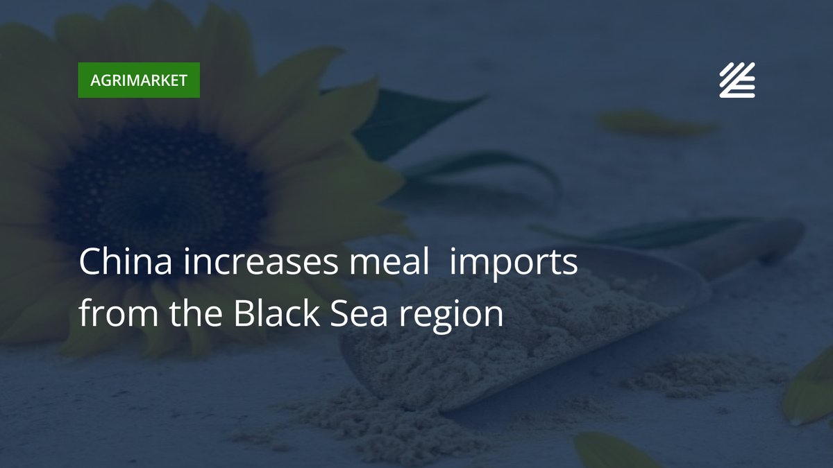 UkrAgroConsult's tweet image. 🇨🇳 #China increases #meal  imports from the #Black_Sea_region

China has stepped up purchases of feed meals from Black Sea — amid shifting global trade flows and its strategy to secure stable supplies of protein-rich raw materials. 

Read more 👉surl.li/dumwxe