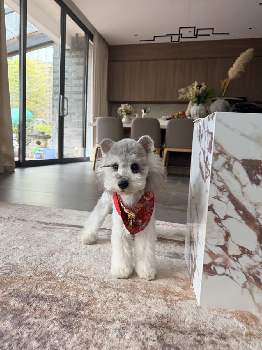 jiayi 加一 tweet media