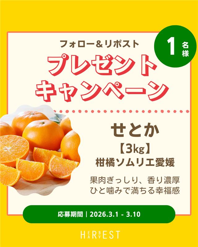 みみりん🐰 (@mimirin800) / Posts / X