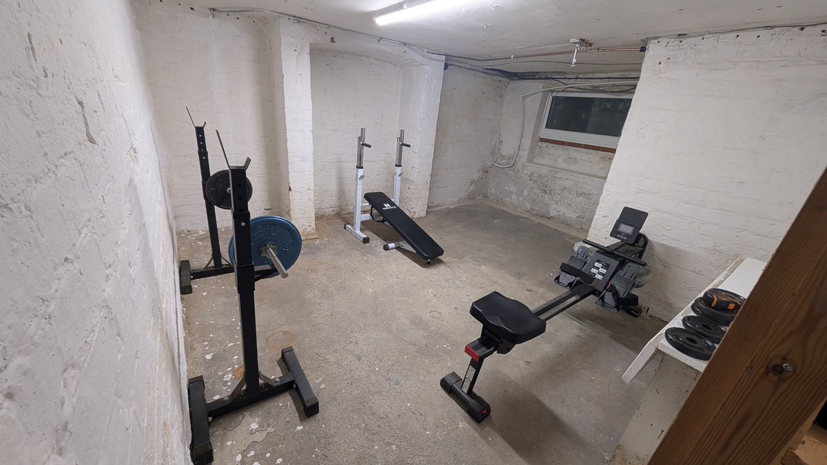 My basement ceiling is so low but I want a multi gym, what do people do here? Live with free weights and no overhead work? I need ideas... Not turn it into a sex dungeon