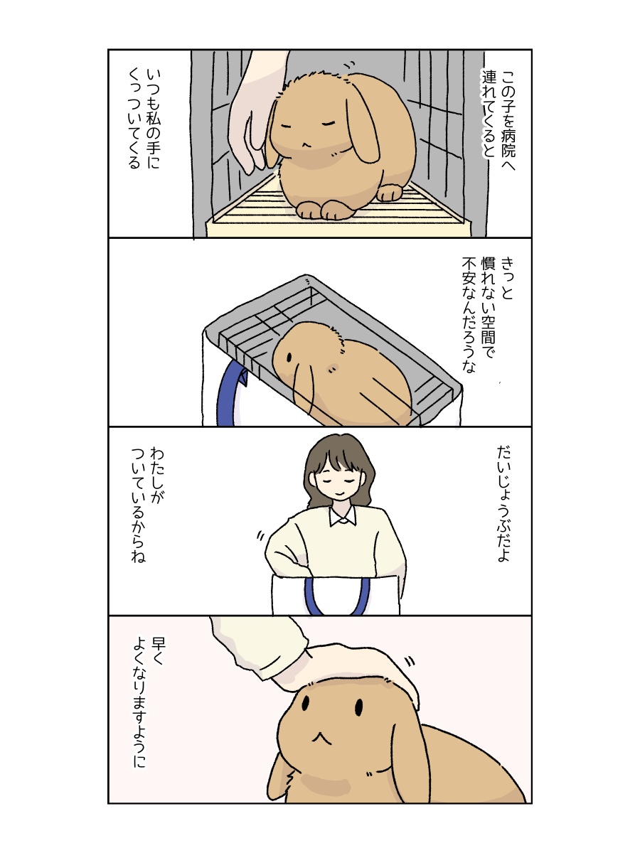 チビ太(CHIBITA🐰)のママ太 (@piccolocibi) / Posts / X