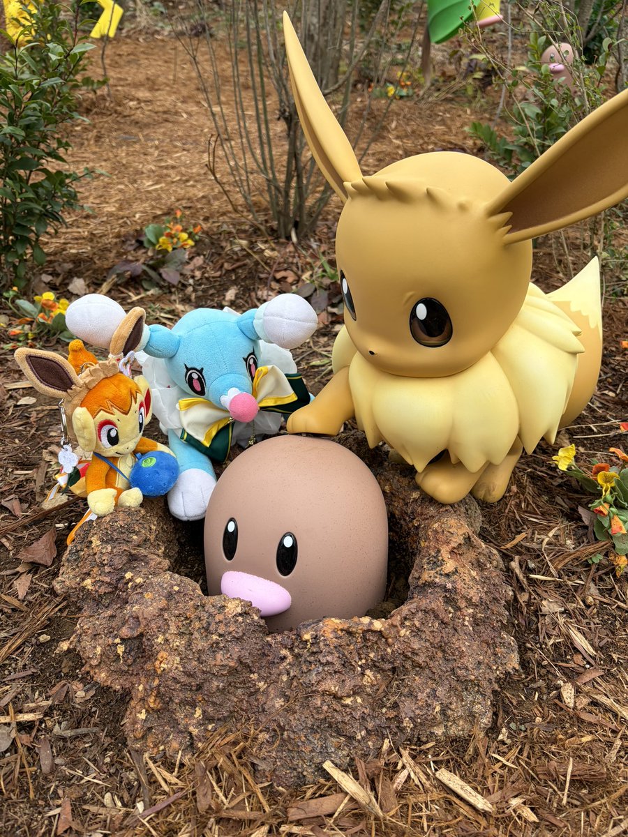 etoTsuji's tweet photo. ポケパークカントー行ってきた！！
最高の空間だった…ポケモンたちが生きていた…😭
ポケモンデーの今日を境にいろいろと新要素が増えてたらしいので、今日来れたのは結構ラッキーだったかも…！ https://t.co/O6jvrv8i9u