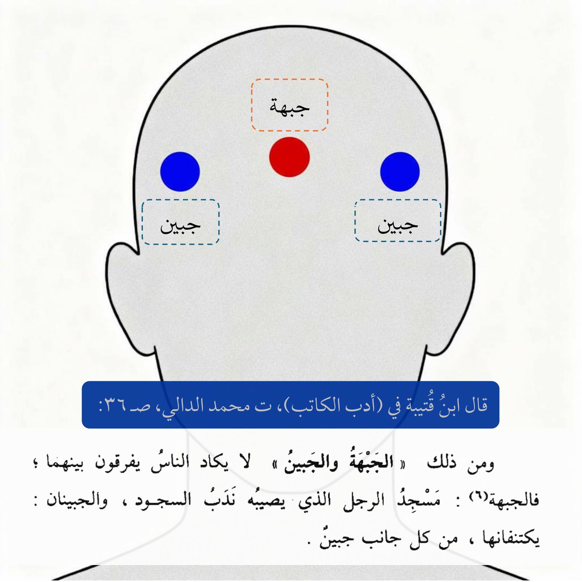 عمر عبد البر tweet media