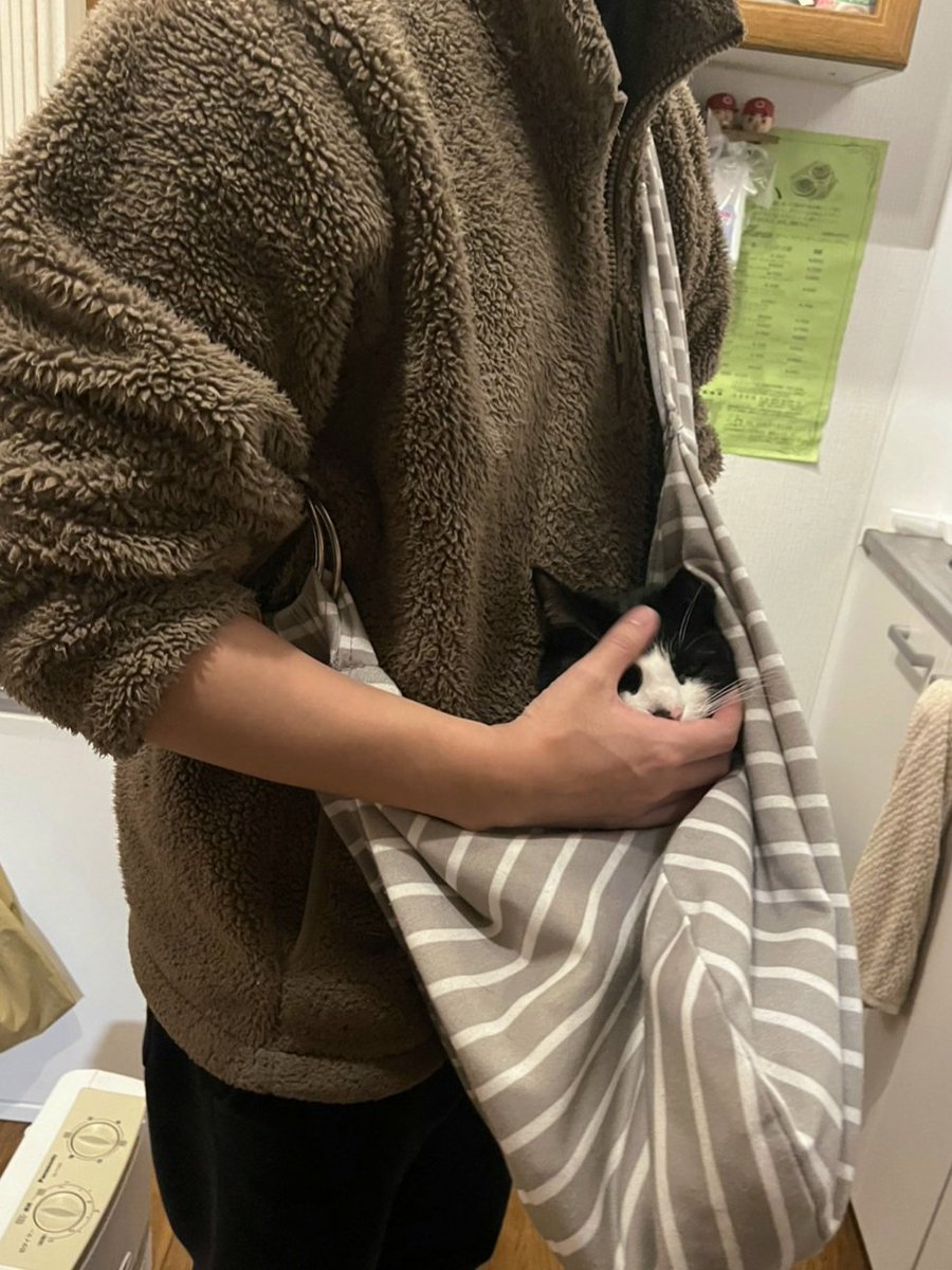 料理中につきまとわれるので 抱っこひもを導入しました
