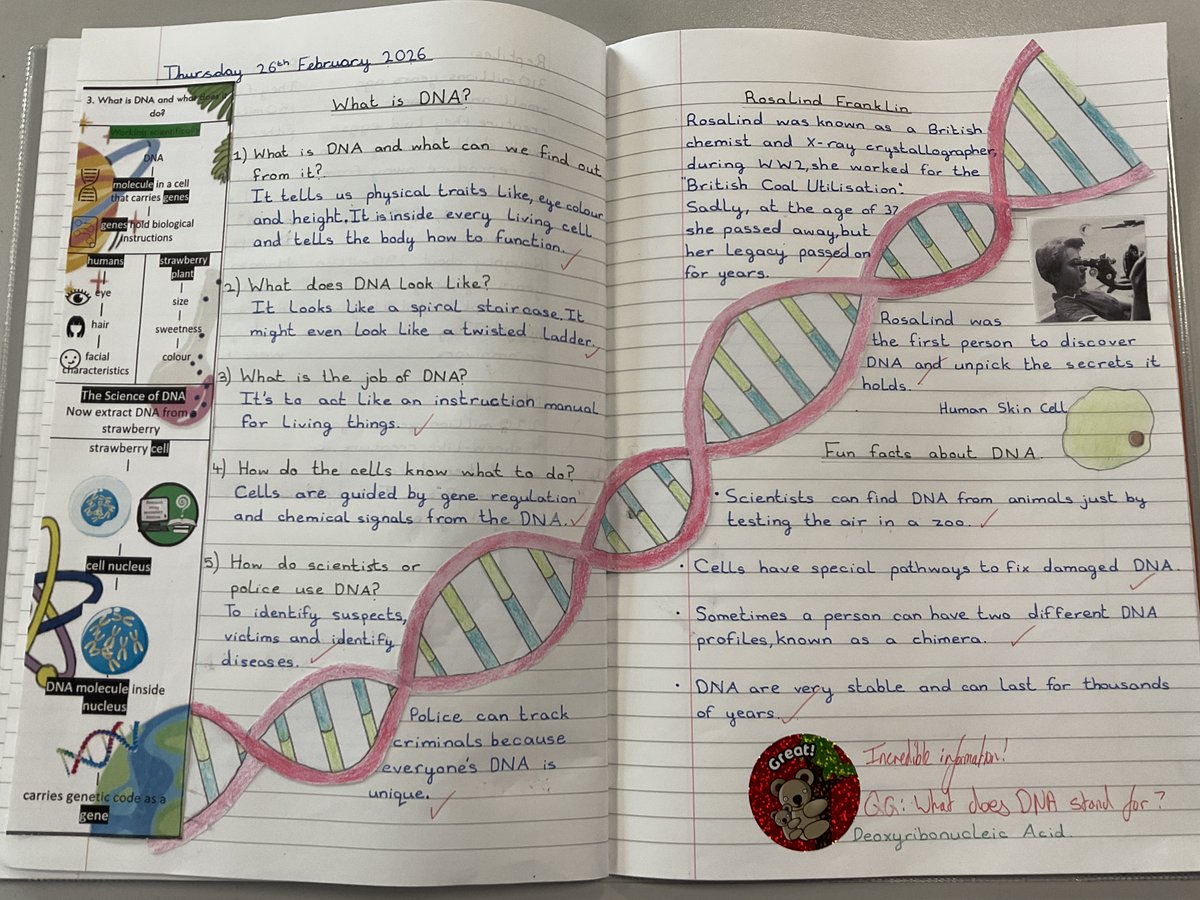 MarshfieldPS's tweet image. Year 6 Stan Lee have been diving into the fascinating world of DNA 🧬— exploring where it’s found, what it looks like, and how it works to give living things the instructions they need to grow and develop. Brilliant scientific thinking on display! 🔬✨ #MPSScience
