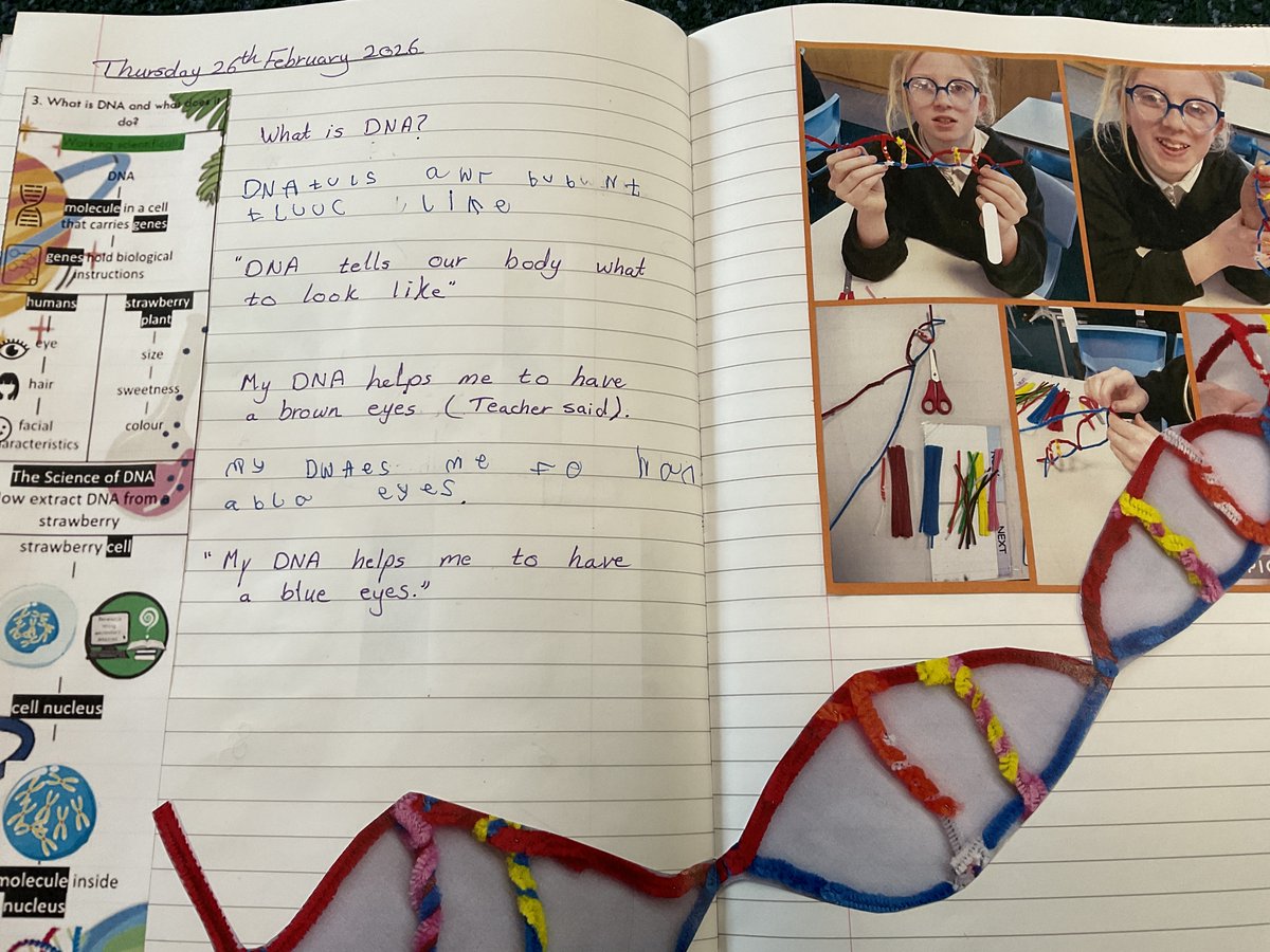 MarshfieldPS's tweet image. Year 6 Stan Lee have been diving into the fascinating world of DNA 🧬— exploring where it’s found, what it looks like, and how it works to give living things the instructions they need to grow and develop. Brilliant scientific thinking on display! 🔬✨ #MPSScience