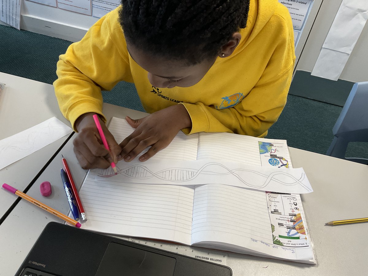 MarshfieldPS's tweet image. Year 6 Stan Lee have been diving into the fascinating world of DNA 🧬— exploring where it’s found, what it looks like, and how it works to give living things the instructions they need to grow and develop. Brilliant scientific thinking on display! 🔬✨ #MPSScience