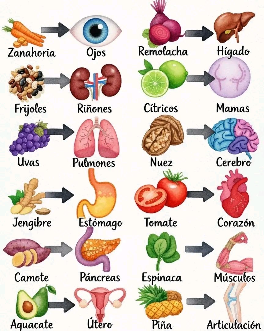 🌰 Nuez → Cerebro
🍍 Piña → Articulaciones
🥬 Espinaca → Músculos
🥬 Remolacha → Hígado
🍋 Cítricos → Sistema inmune

Una alimentación variada es la mejor estrategia para cuidar todo el cuerpo