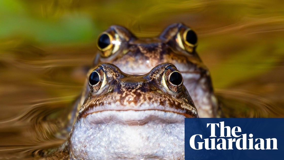 Week in wildlife: rescued dolphins, a white whale and a precious kākāpō chick 📸 bit.ly/3N2EDj8

#wildlife #nature #wildlifephotography