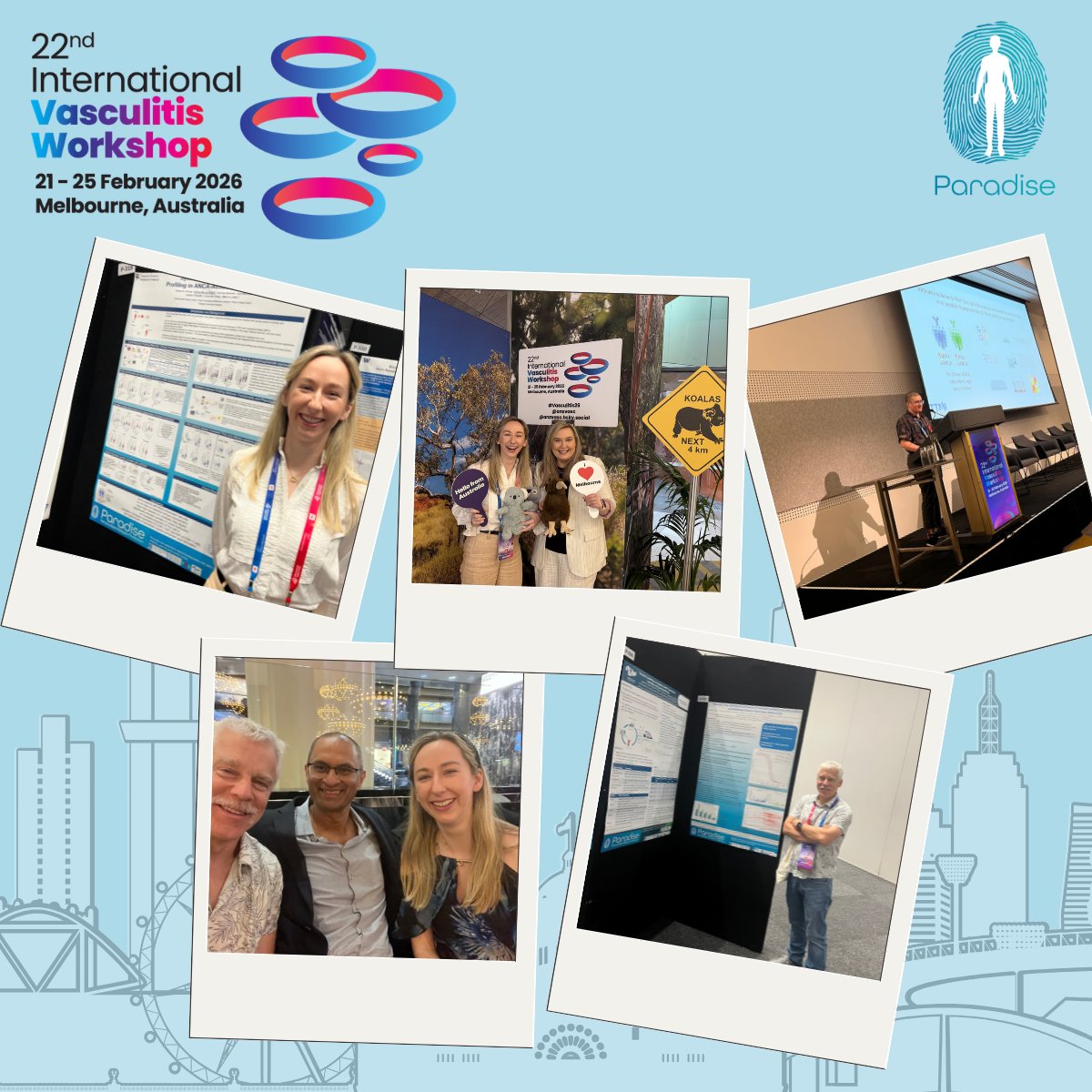 PARADISE tweet media