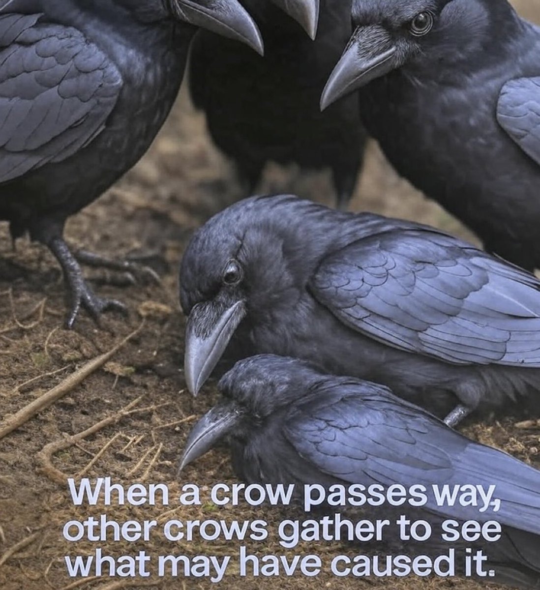 Science girl tweet media