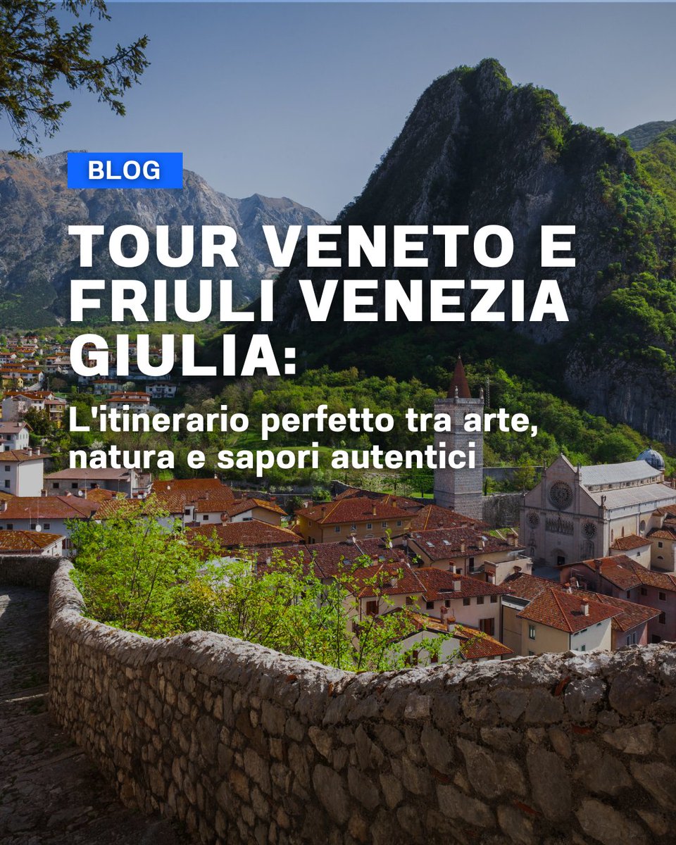 Evolution Travel tweet media