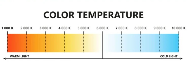 Andrew 🚀 tweet media
