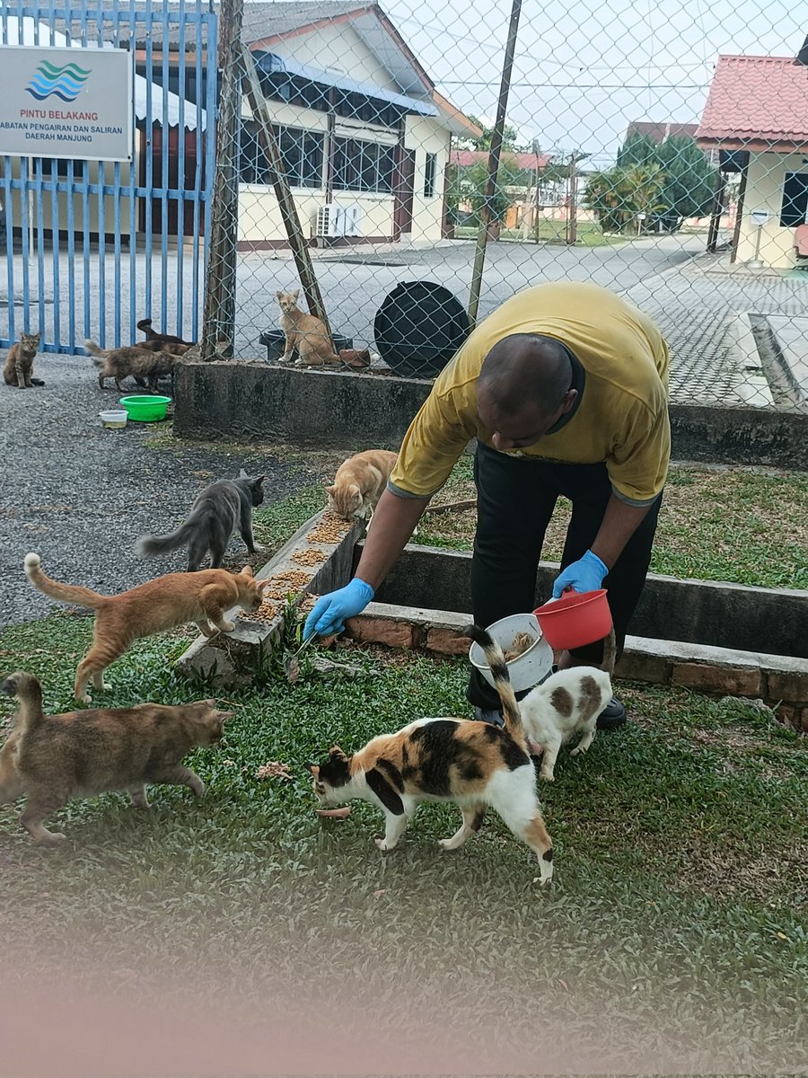 FiskaYenitaFK_'s tweet photo. Setiap hari ada beratus perut kucing &amp; anjing jalanan yang menunggu makanan tanpa gagal 🥹

45 tempat dalam sehari dengan kudrat yg sedia ada. Berpuluh kg kibble, wetfood &amp; bahagian ayam yg diperlukan. 🙏🏻

Korang.. if taktahu kemana arah utk berkongsi, disini amat memerlukan 🙏🏻🥹 https://t.co/klndUKja6i