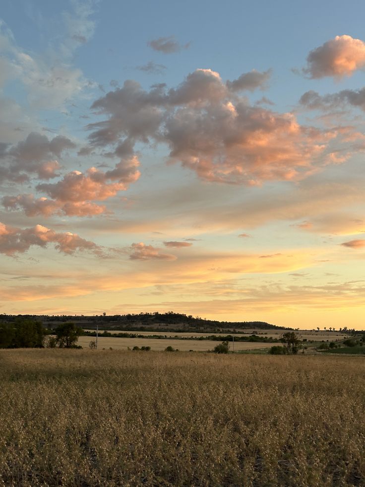 ღℳóทicɑ͜͡❥ tweet media