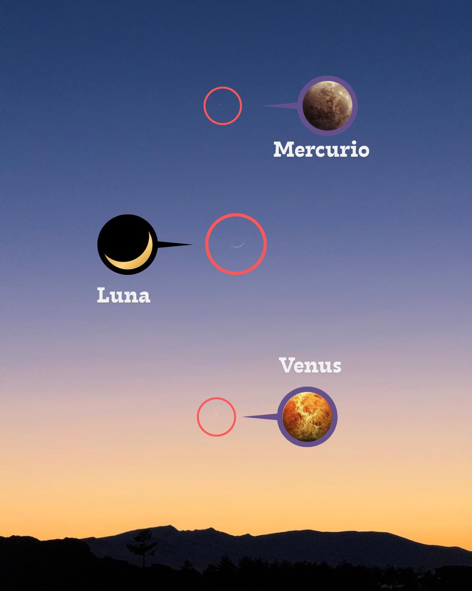 Observatorio Astronómico de Calar Alto tweet media