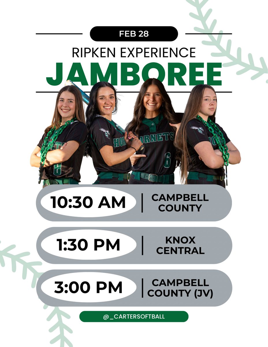 Carter Lady Hornet Softball tweet media