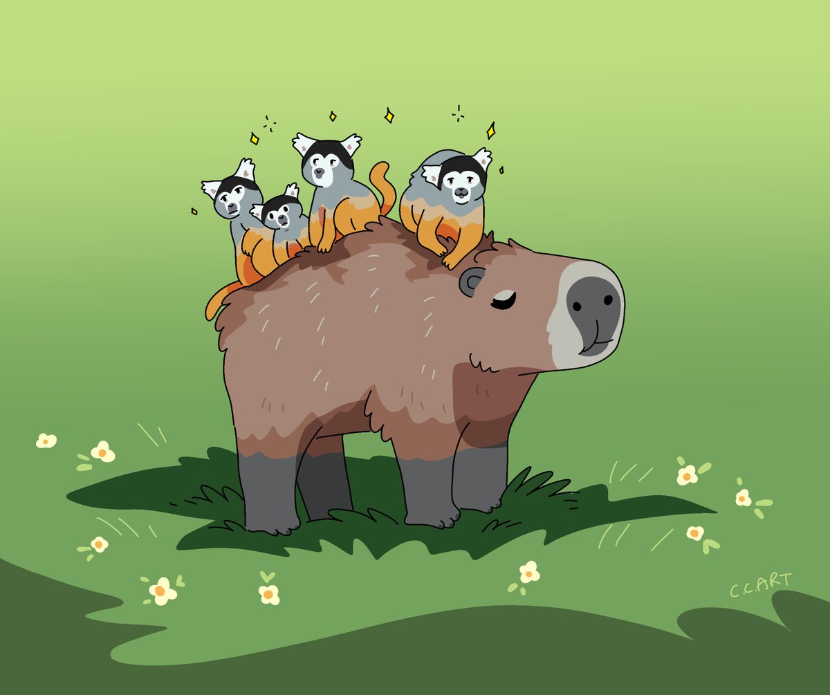 Clair 💫 tweet media