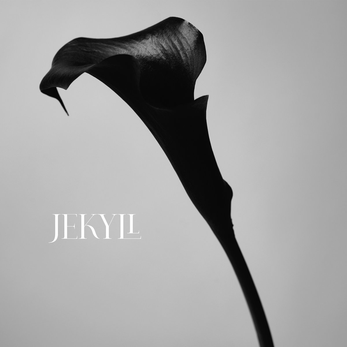 [STAFF]
ニューアルバム『JEKYLL』2026年5月13日(水) CD発売決定！

「UNIVERSAL MUSIC STORE 限定盤」「初回限定盤」の映像特典には、CD収録楽曲 全10曲のMusic VideoとSpecial Movieを収録！※Special Movieの内容は後日発表予定

さらに、UNIVERSAL MUSIC STORE