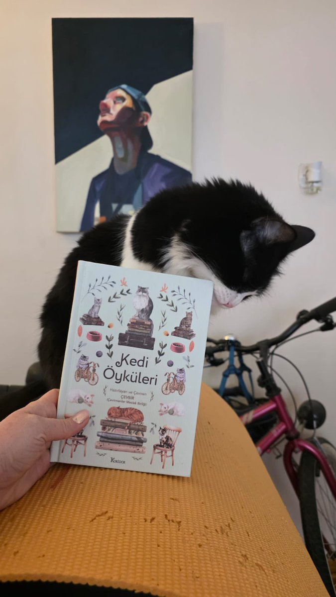 banushka tweet media