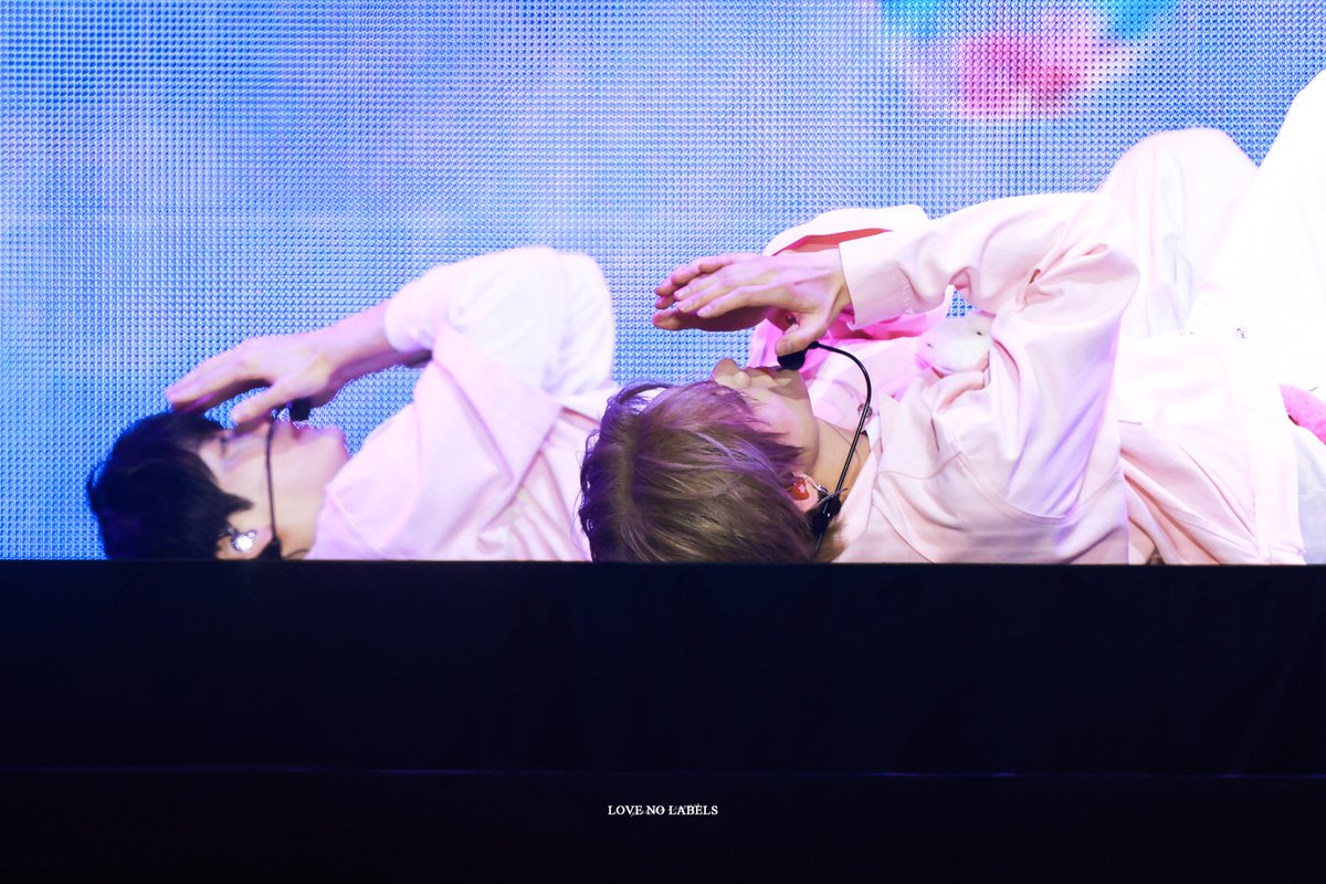 LOVE NO LABELS tweet media