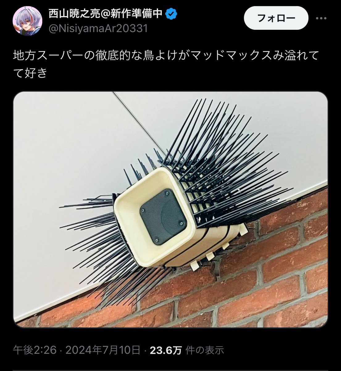 低次元どすけべ知性体 tweet media