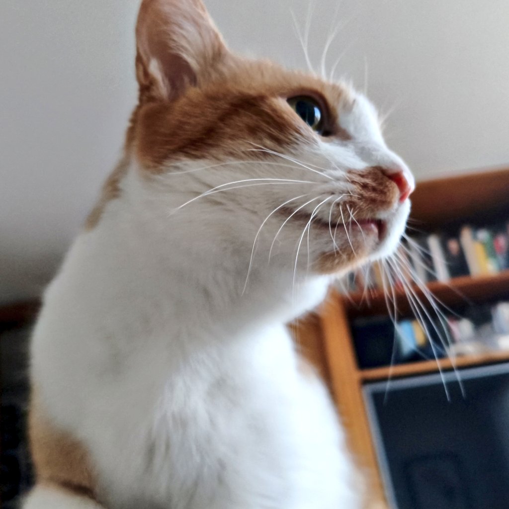 Mi despertador.