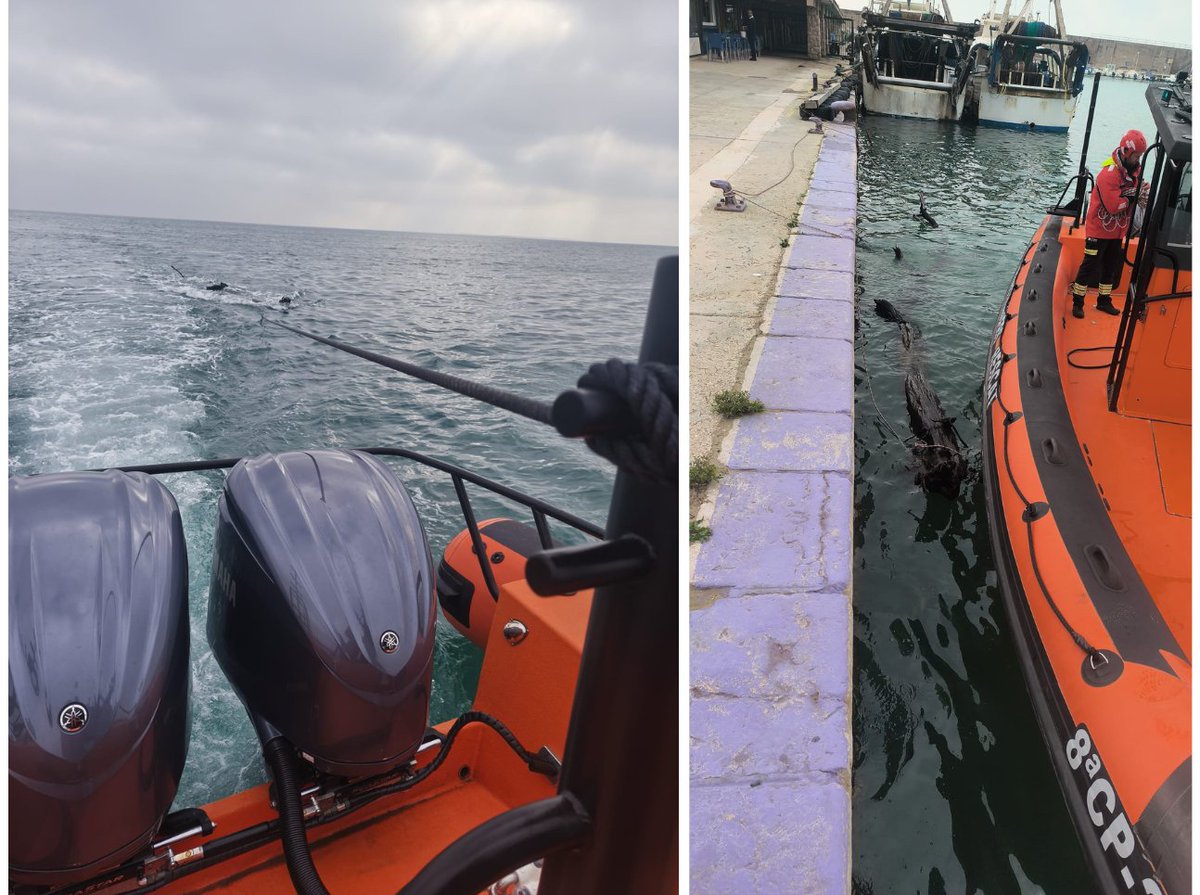 Un placer colaborar una vez más con @salvamentogob !