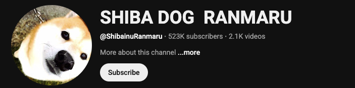 Gohan.sol tweet media