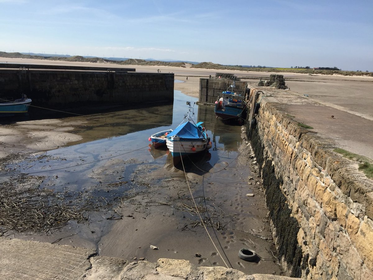 HistoryMan1794's tweet photo. Beadnell harbour. In the 1820s live turbot, lobsters and red herring were shipped from here to London. https://t.co/wCmWkBj7CN
