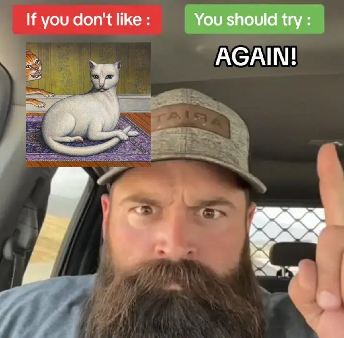 ຸ (@mitskicentral) on Twitter photo 