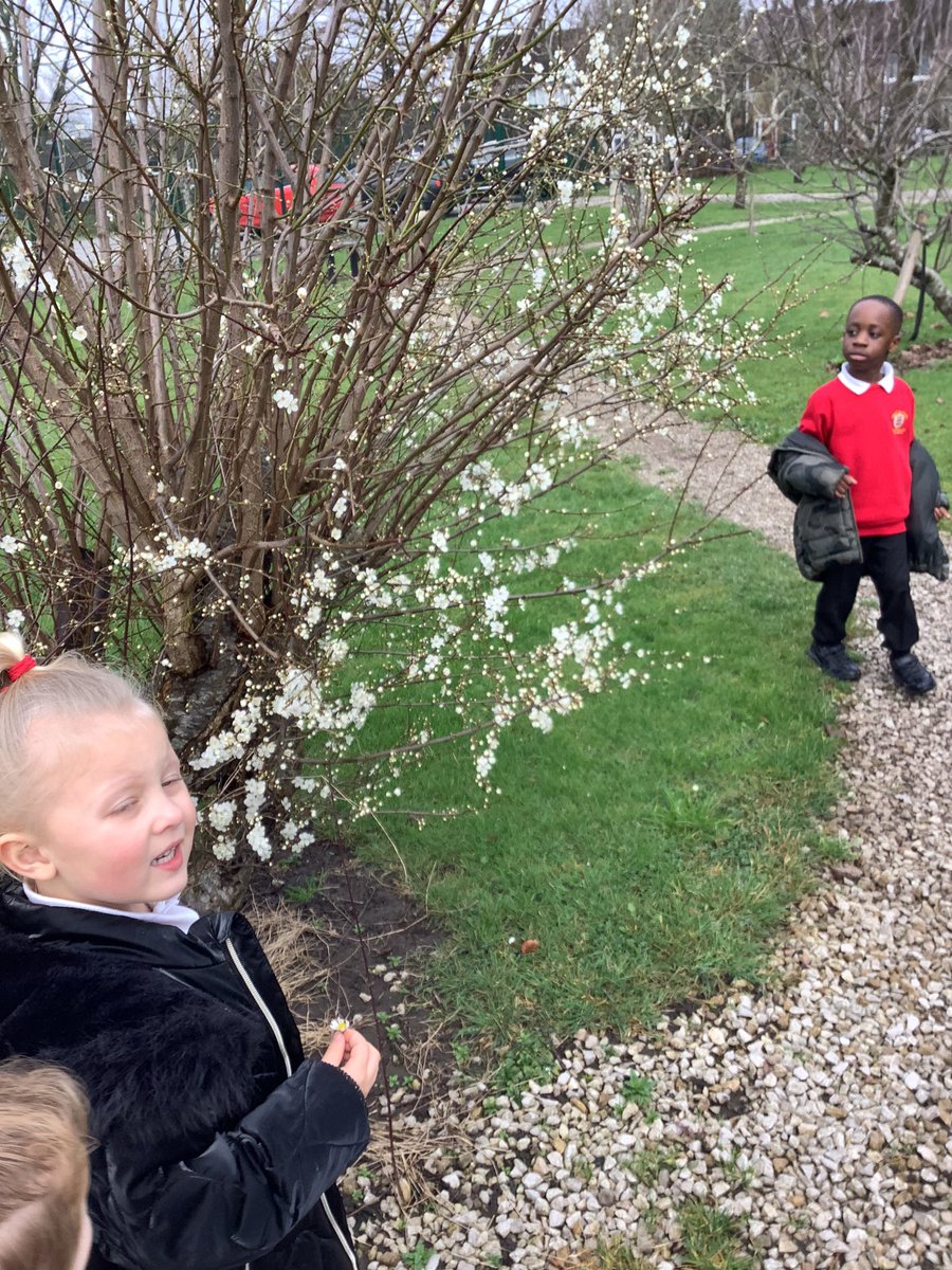 We have found some first signs of Spring! 🌸