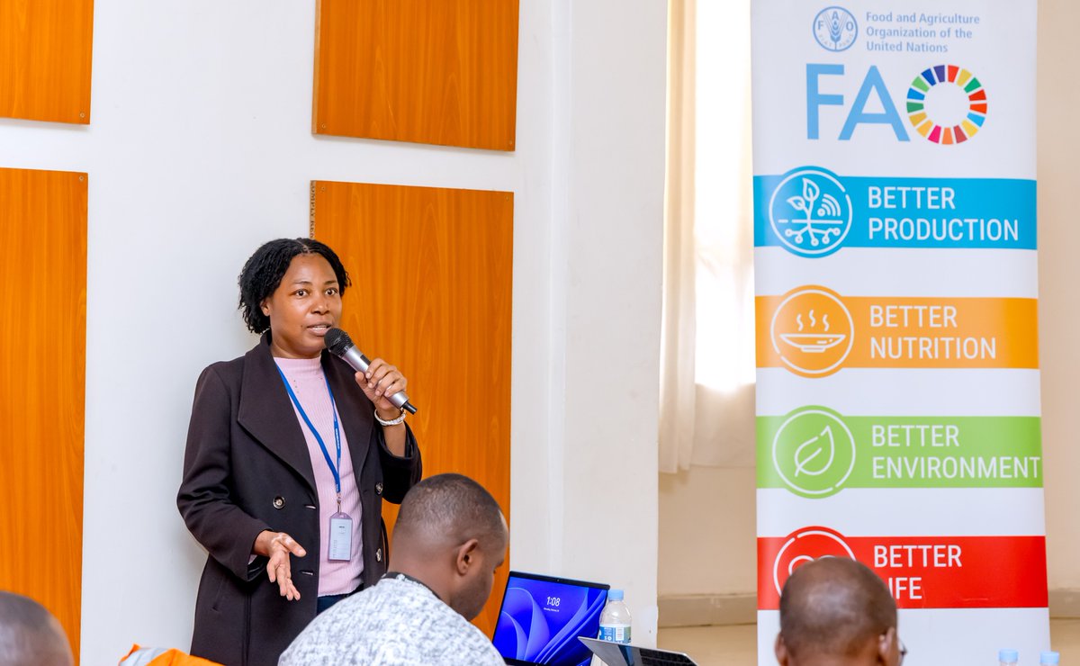 FAO in Rwanda tweet media