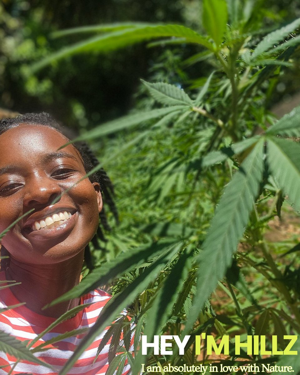 HillaryZMavuru's tweet photo. HILLZ as in the High Hillz of Kilimanjaro😂 Lol at high cause yes😂 

Pretty cool that some plants can just do their thing in your body and you find yourself supported to live happy. https://t.co/4xMbeZYptY