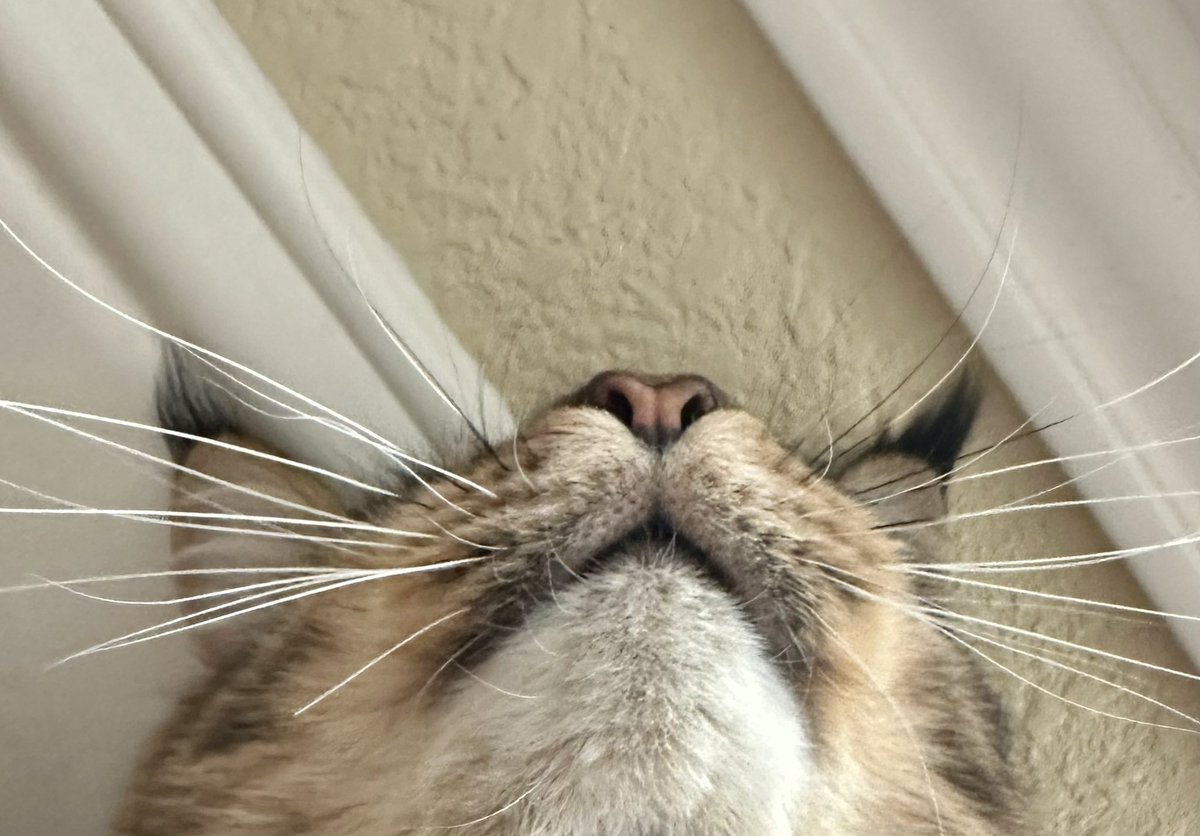 Luke Young tweet media