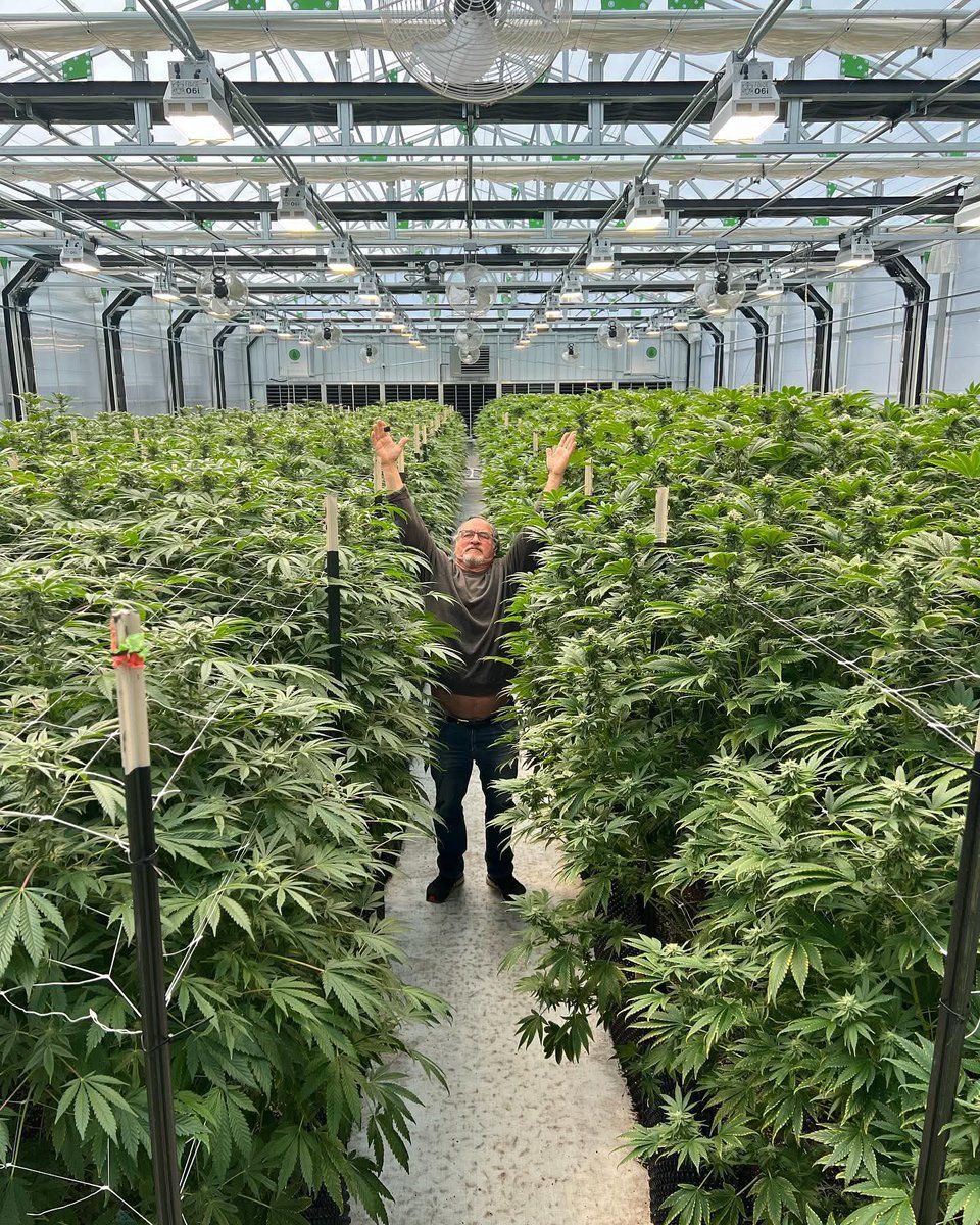 Cannabis is Medicine !!
Spread the word 🙌