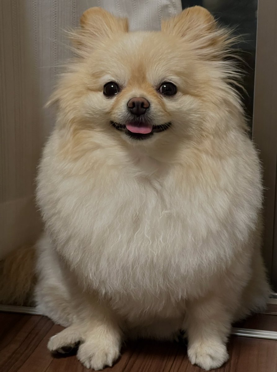 あろま tweet media