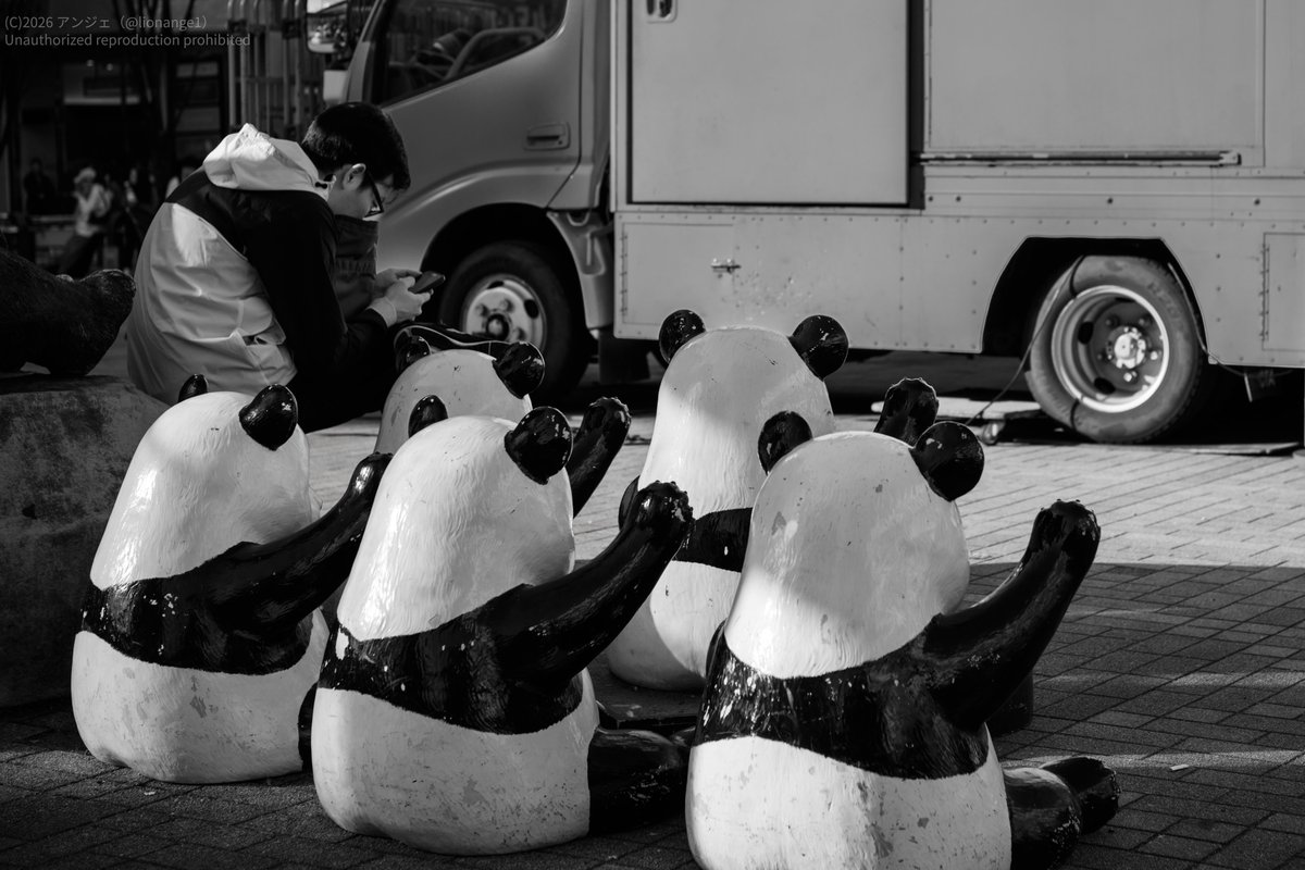 擬態する男」 モノクロ写真が3日続いたが、これらはとある1日に撮った