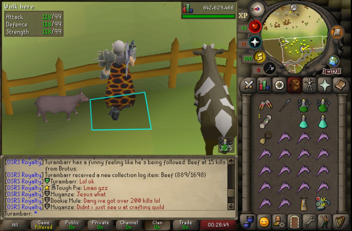 Max 🐨 tweet media