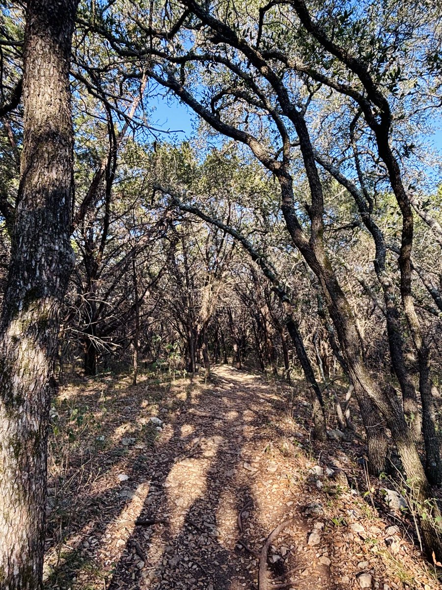 Annette Gibert tweet media