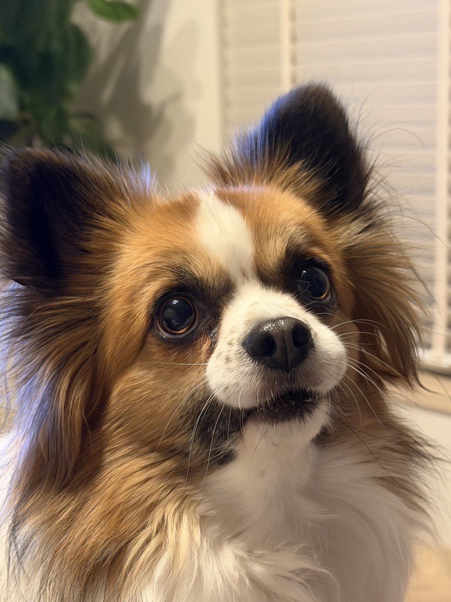 たつみん「ストレスポイ捨て起業術」著者 (@shennronn_Drums) / Posts / X