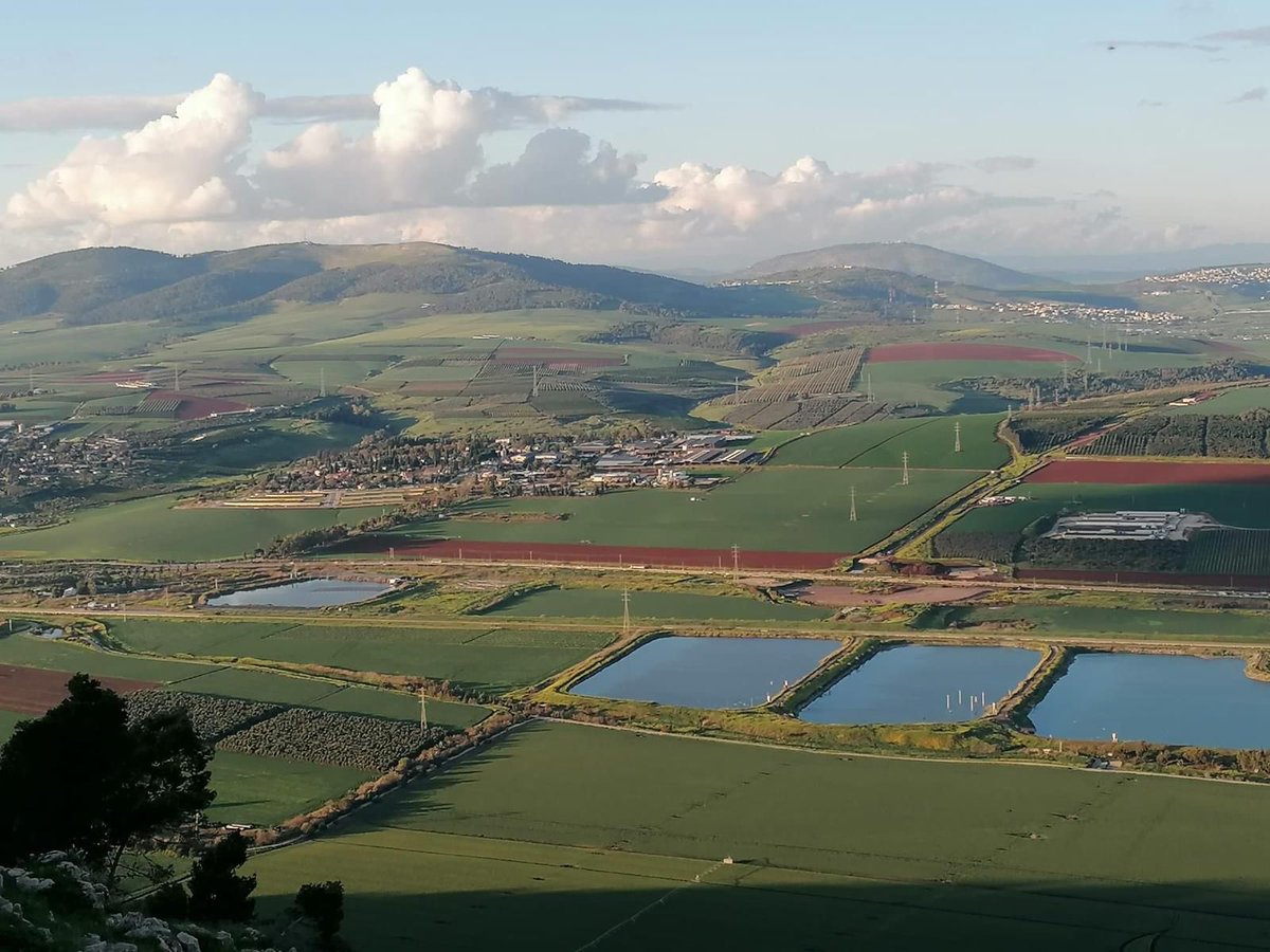 As the fields of Mt. Gilboa begin to bloom again as winter slowly comes to an end. While spring begins, we welcome a day of rest and renewal.
Shabbat Shalom 🌿✨
📸 Jonathan Roost