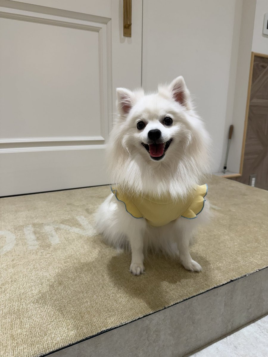 藤田 ニコル(にこるん)🌙 (@0220nicole) / Posts / X