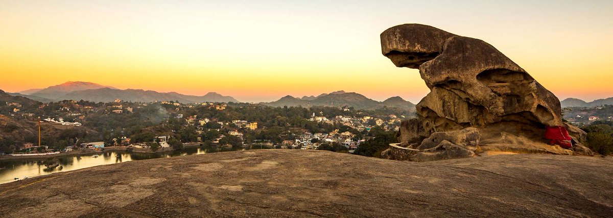 चिड़ी-कमेड़ी tweet media