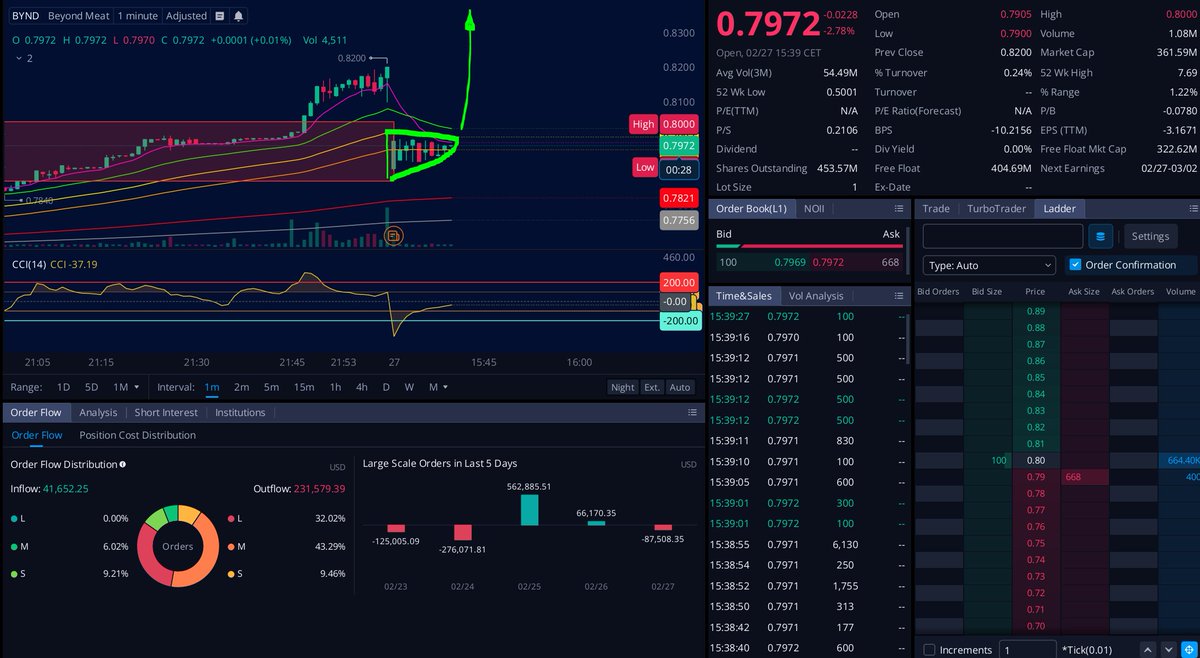 $BYND bull flag 1m chart pattern

#bynd