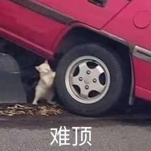 0x.绵羊 tweet media