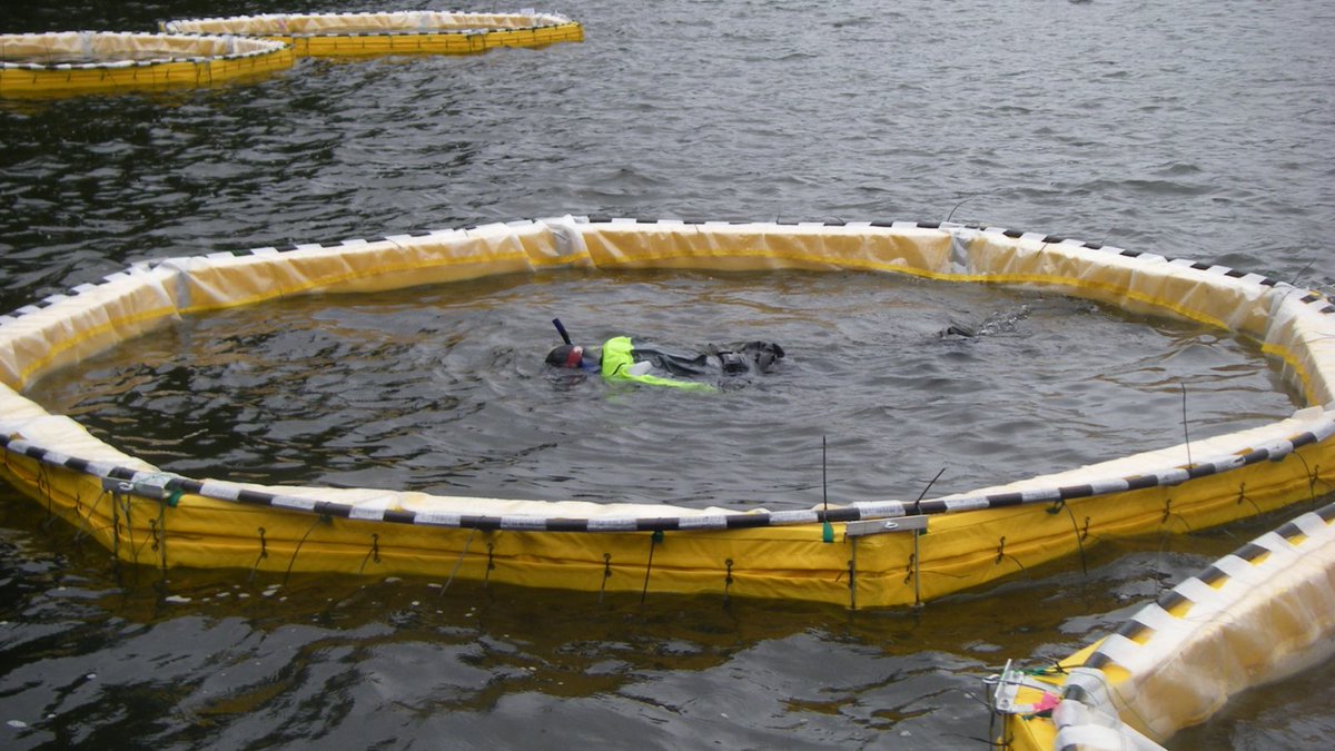 USGS Water Resources tweet media