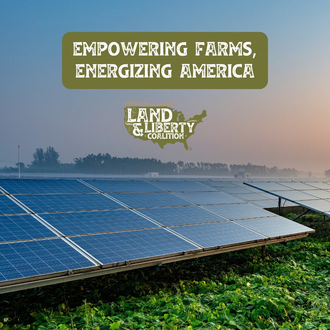 The Land & Liberty Coalition tweet media