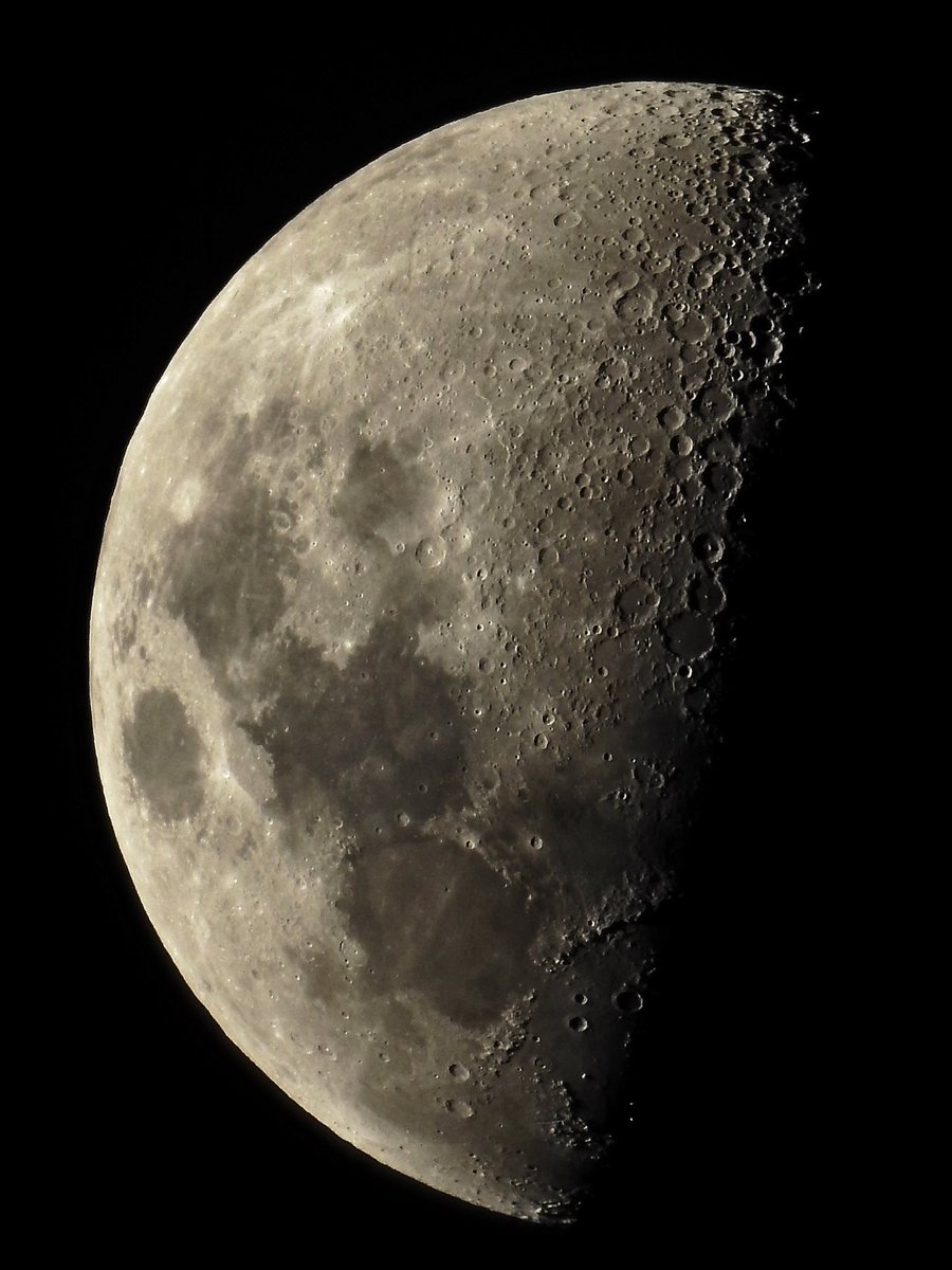 SkinnyAtlasMsic's tweet photo. February 2026 #moon https://t.co/01hqsBXZf9